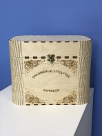 Сундучок для хранения логопедического оборудования - fgospostavki.ru - Махачкала