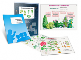 Комплект кодотранспарантов "Культурные растения" - fgospostavki.ru - Махачкала
