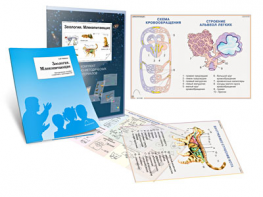 Комплект кодотранспарантов "Зоология. Млекопитающие" - fgospostavki.ru - Махачкала