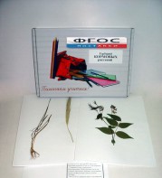 Гербарий "Кормовые растения" (20 видов) - fgospostavki.ru - Махачкала