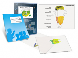 Комплект кодотранспарантов "Корень. Стебель. Лист (Внутреннее строение)" - fgospostavki.ru - Махачкала