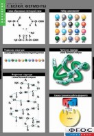 Комплект таблиц. Биология. Химия клетки. - fgospostavki.ru - Махачкала