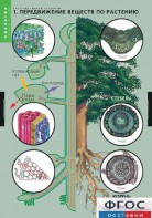 Комплект таблиц. Биология. Растение – живой организм. - fgospostavki.ru - Махачкала
