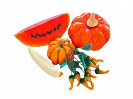 Набор муляжей "Бахчевые культуры" - fgospostavki.ru - Махачкала