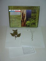 Гербарий "Сорные растения" (24 вида) - fgospostavki.ru - Махачкала