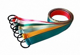Лента гимнастическая на кольце (0,25 метра) - fgospostavki.ru - Махачкала