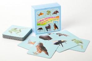 Набор магнитных карточек "Устный счет" (фон голубой) - fgospostavki.ru - Махачкала