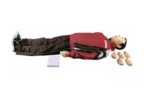 "Максим I-01" тренажер сердечно-легочной и мозговой реанимации - fgospostavki.ru - Махачкала