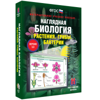 Наглядная биология. 6 класс. Растения. Грибы. Бактерии - fgospostavki.ru - Махачкала