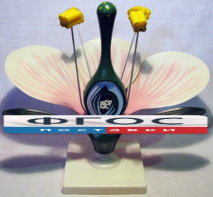 Модель "Цветок яблони" - fgospostavki.ru - Махачкала