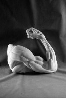 Рука согнутая в локте (гипс) - fgospostavki.ru - Махачкала