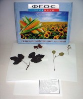 Гербарий "Сельскохозяйственные растения" (28 видов) - fgospostavki.ru - Махачкала