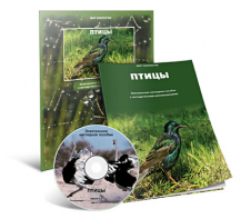 Электронное наглядное пособие «Птицы» - fgospostavki.ru - Махачкала