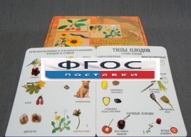 Коллекция "Семена и плоды" - fgospostavki.ru - Махачкала