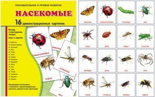 Демонстрационные карточки "Насекомые" - fgospostavki.ru - Махачкала