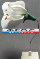 Модель "Цветок гороха" - fgospostavki.ru - Махачкала