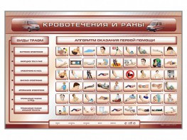 Трехсекционный базовый комплект "Травмы. Кровотечения. Ожоги" для учащихся общеобразовательных учреждений - fgospostavki.ru - Махачкала