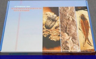 Коллекция "Палеонтологическая" (16 образцов) - fgospostavki.ru - Махачкала