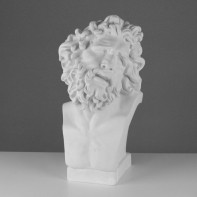 Бюст Лаокоона (гипс) - fgospostavki.ru - Махачкала