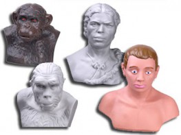 Комплект палеонтологических моделей "Происхождение человека" - fgospostavki.ru - Махачкала