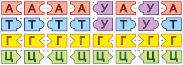 Модель-аппликация Удвоение ДНК и транскрипция РНК - fgospostavki.ru - Махачкала