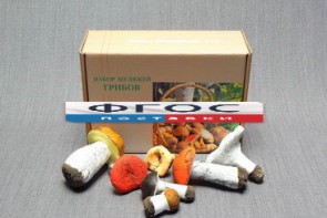 Набор муляжей грибов - fgospostavki.ru - Махачкала