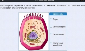 Интерактивные курсы. Биология 8 класс. Базовый - fgospostavki.ru - Махачкала