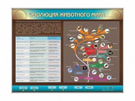 Интерактивный электрифицированный стенд "Эволюция животного мира" - fgospostavki.ru - Махачкала
