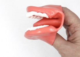 Муляж рта (мини) - fgospostavki.ru - Махачкала