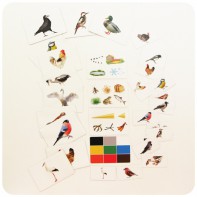 Набор магнитных карточек "Загадки-отрицания". Птицы - fgospostavki.ru - Махачкала