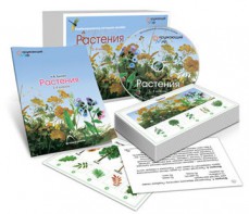 Комбинированное наглядное пособие «Растения» - fgospostavki.ru - Махачкала