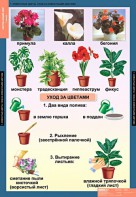 Комплект таблиц. Окружающий мир 1 класс. - fgospostavki.ru - Махачкала