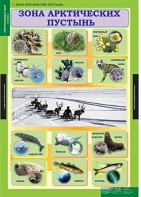 Комплект таблиц. Окружающий мир 4 класс. - fgospostavki.ru - Махачкала