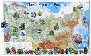 Магнитные карточки "Растения" - fgospostavki.ru - Махачкала