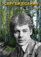 DVD "Сергей Есенин" - fgospostavki.ru - Махачкала