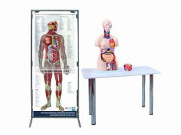 Интерактивный учебный комплекс "Анатомический атлас 3D" - fgospostavki.ru - Махачкала