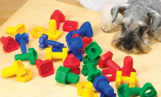 Игра на сенсомоторное развитие "Гайки и болтики" - fgospostavki.ru - Махачкала