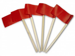 Флажок эстафетный - fgospostavki.ru - Махачкала