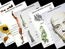 Таблицы по природоведению 1-3 класс (46 штук, формат А2) - fgospostavki.ru - Махачкала