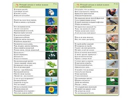 Комплект карточек (10) "Обучающий калейдоскоп. Природа" - fgospostavki.ru - Махачкала