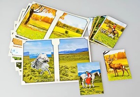 Настольно-печатная игра "Вокруг света" - fgospostavki.ru - Махачкала