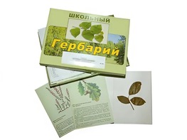 Гербарий "Дикорастущие растения" (30 видов, с иллюстрациями) - fgospostavki.ru - Махачкала