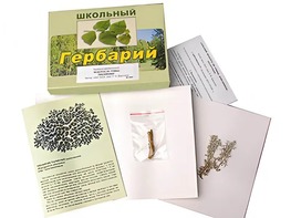 Гербарий "Водоросли. Грибы. Лишайники" (раздаточный) - fgospostavki.ru - Махачкала