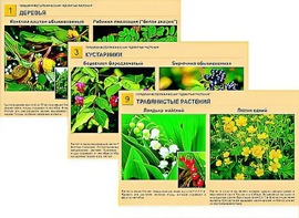 Гербарий фотографический "Ядовитые растения" - fgospostavki.ru - Махачкала