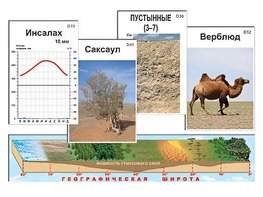 Модель-аппликация "Природные зоны" - fgospostavki.ru - Махачкала