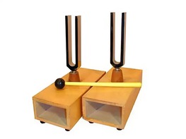 Камертоны на резонансных ящиках (пара) - fgospostavki.ru - Махачкала