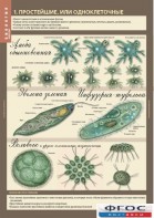 Комплект таблиц. Биология 7 класс. Животные. - fgospostavki.ru - Махачкала