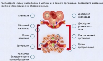 Интерактивные курсы. Биология 9 класс. Расширенный. - fgospostavki.ru - Махачкала