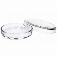 Чашка Петри 100х20 - fgospostavki.ru - Махачкала