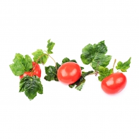 Ветка муляжей "Помидоры" - fgospostavki.ru - Махачкала